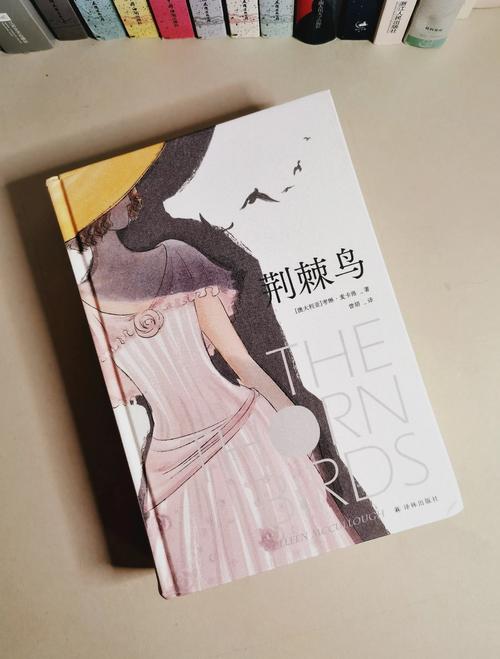我的绝色明星老婆全文阅读在线-章节目录更新