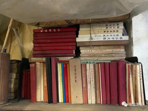 神棍小村医全文免费阅读|主角逆袭爽文在线看