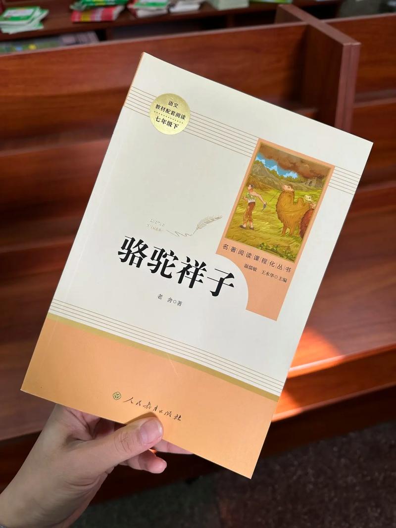 一念路向北全文免费在线阅读 | 热门小说最新章节更新