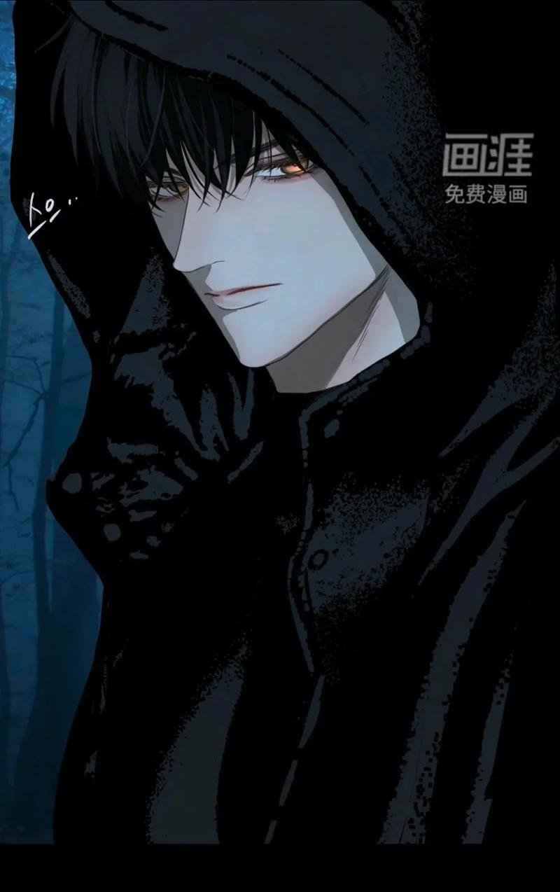 画涯官网 | 免费在线漫画阅读平台，海量国漫日漫随心看