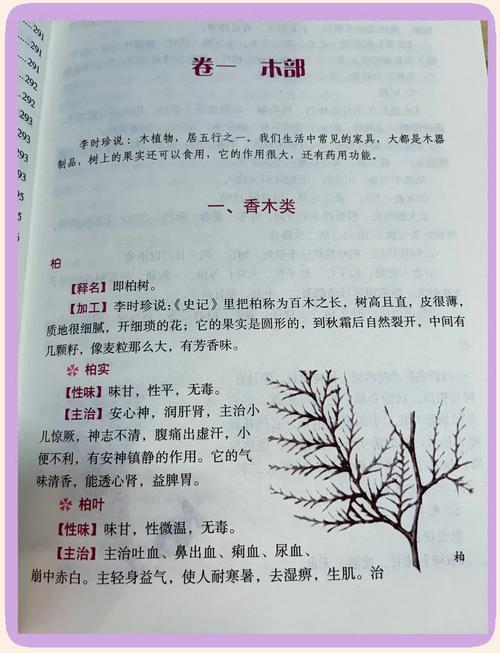 PDF在线免费阅读器 - 无需下载即可打开文档