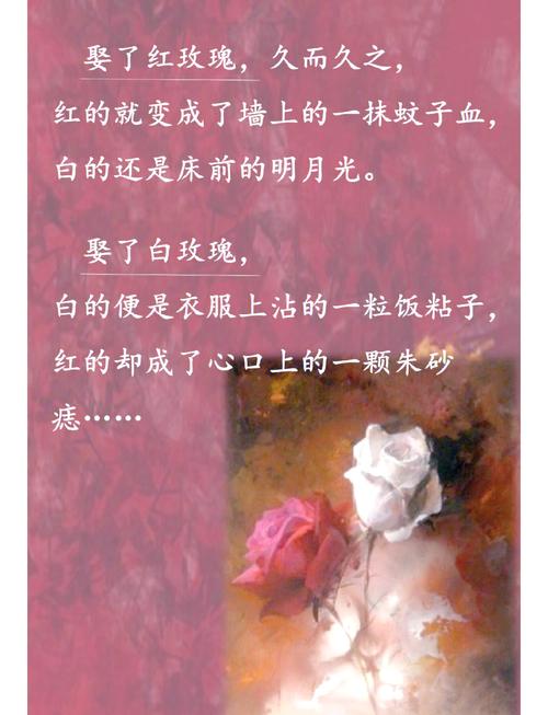 《请叫我总监》全文在线阅读 | 职场爱情小说