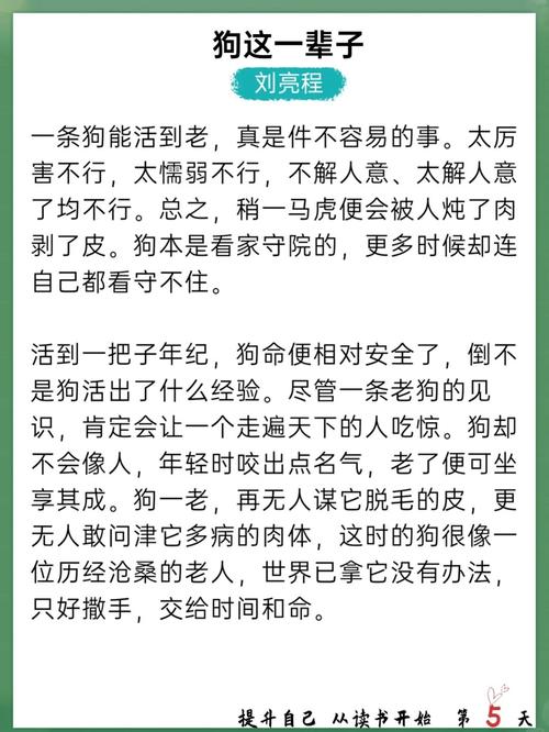 天官赐福最新章节在线阅读 | 花城谢怜绝美仙侠小说全文