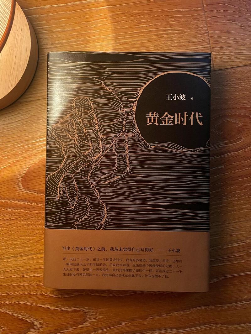 黄金时代在线阅读 - 王小波经典作品免费阅读