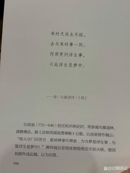苦婚全文免费在线阅读 - 情感婚恋小说连载
