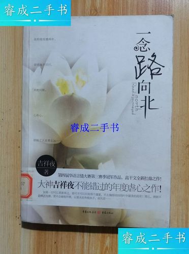 一念路向北全文免费在线阅读-一念路向北小说最新章节