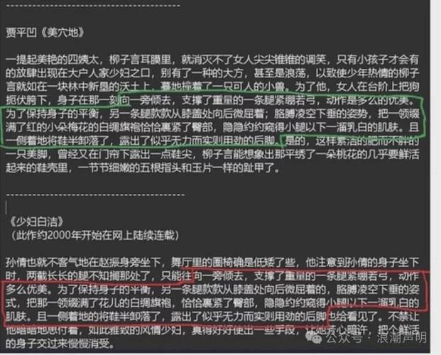少扫白洁完整版在线阅读|全文无删减