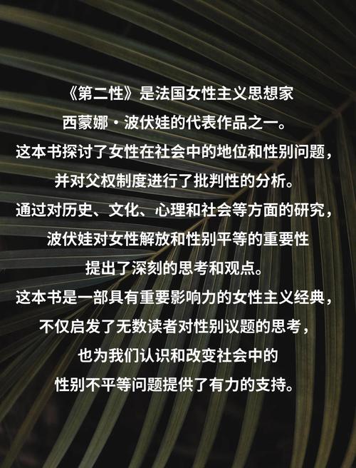 《第二性》在线阅读｜波伏娃女性主义经典全文免费