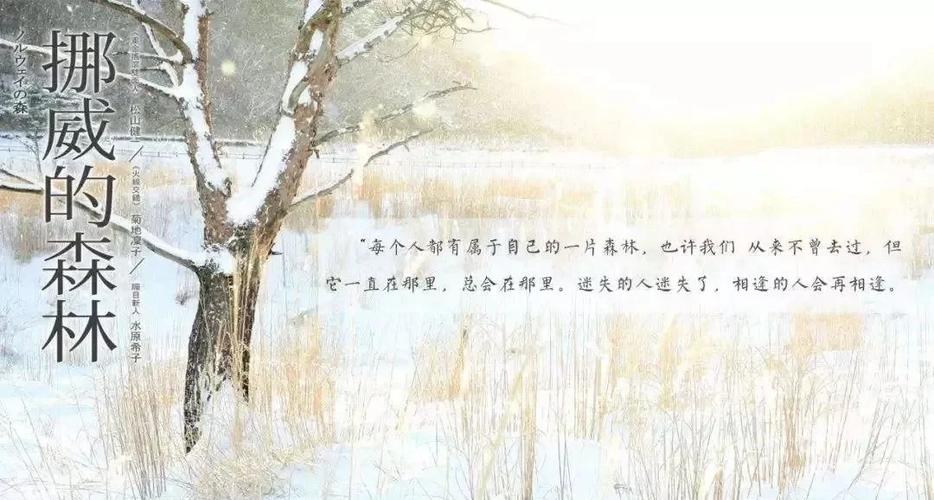 421页PDF在线阅读 | 高效文档查看与全文检索