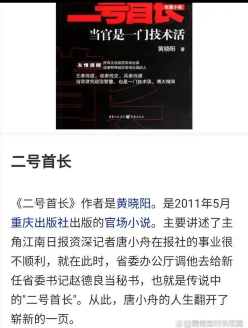 《二号首长》全文在线阅读 | 官场权谋小说精选
