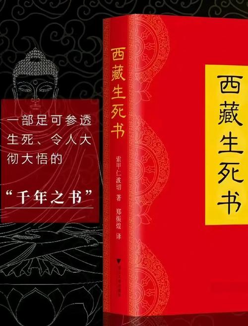 神秘佛眼全文在线阅读:揭开千年佛眼之谜