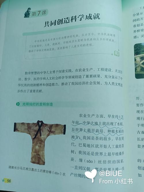 《慈悲城》在线全文阅读 | 免费无删减版