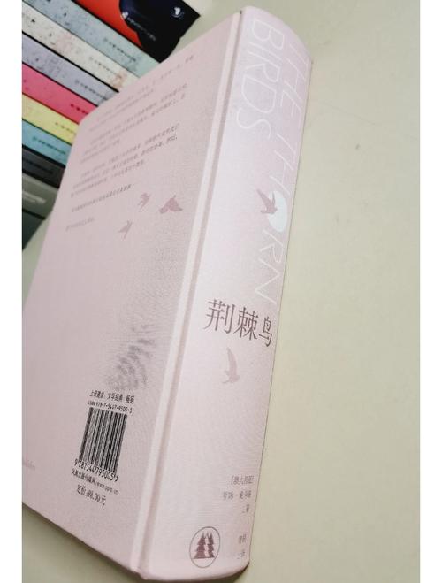 阿宾全文阅读在线78章 - 精彩剧情持续更新中