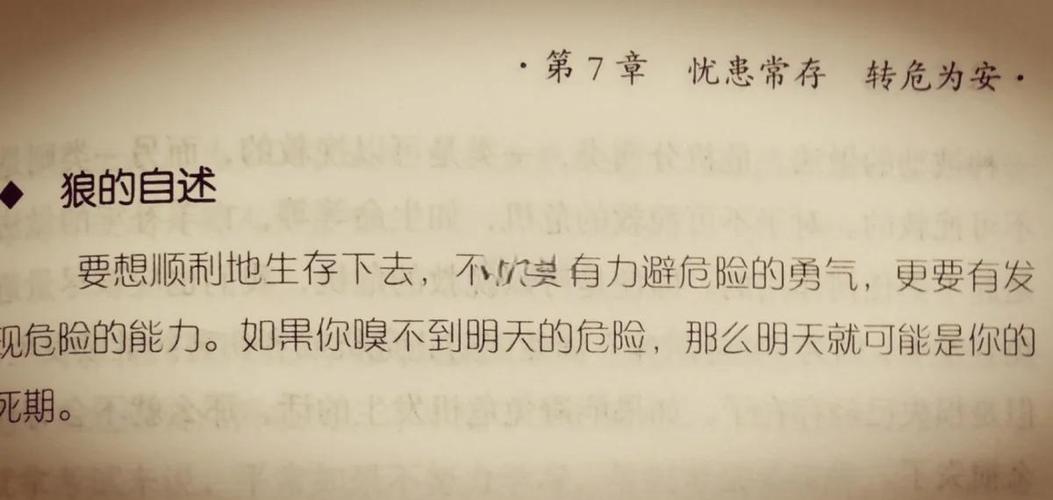 狼道在线阅读:揭秘狼性生存法则与团队管理智慧