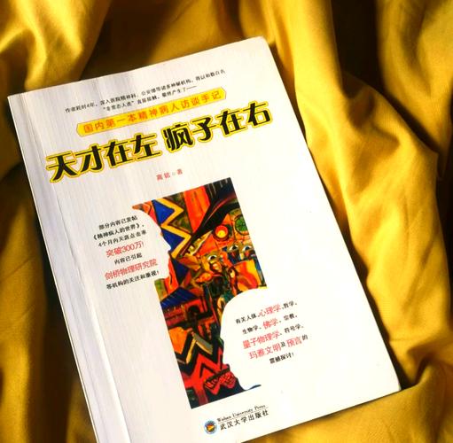 天才在左疯子在右在线阅读:精神病人的世界,颠覆认知的对话实录
