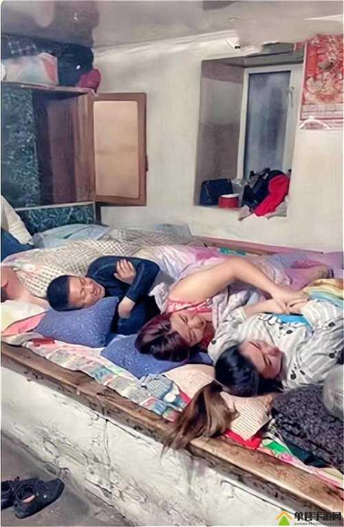 老房子的春天全文免费阅读 - 情感生活小说在线看