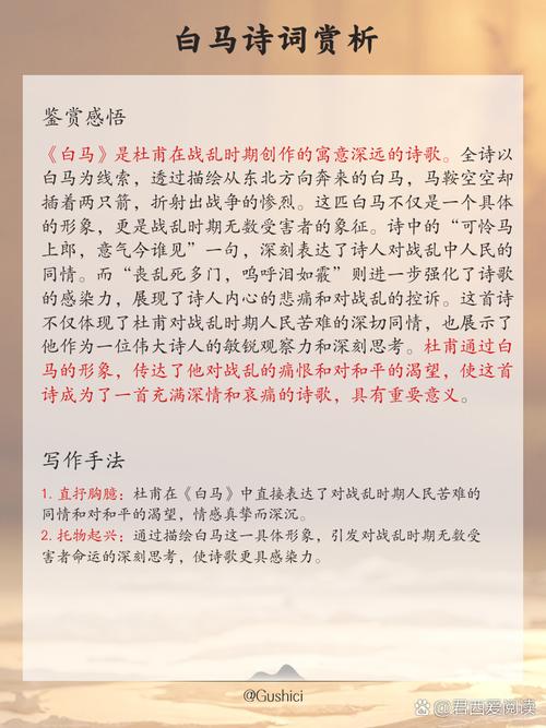 米璐璐作品在线阅读 - 全集免费无弹窗