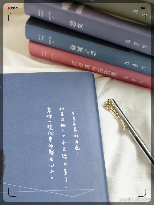 秦青的幸福生活在线阅读 | 感受平凡日子里的温暖与美好