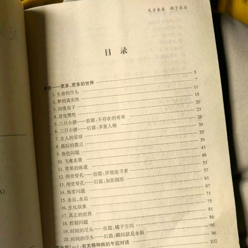 天才在左疯子在右在线阅读:精神病人的世界,颠覆认知的对话实录