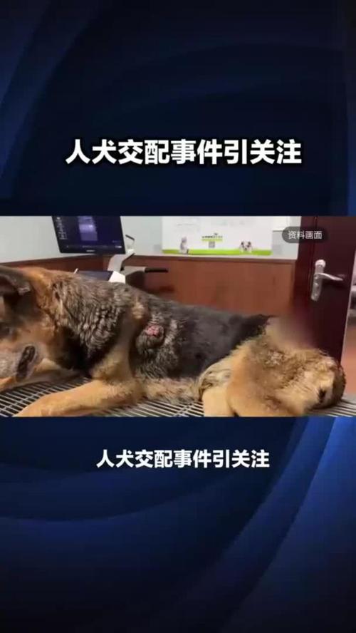 总裁爱妻入骨全文免费在线阅读 | 霸道总裁宠文